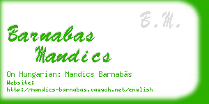 barnabas mandics business card